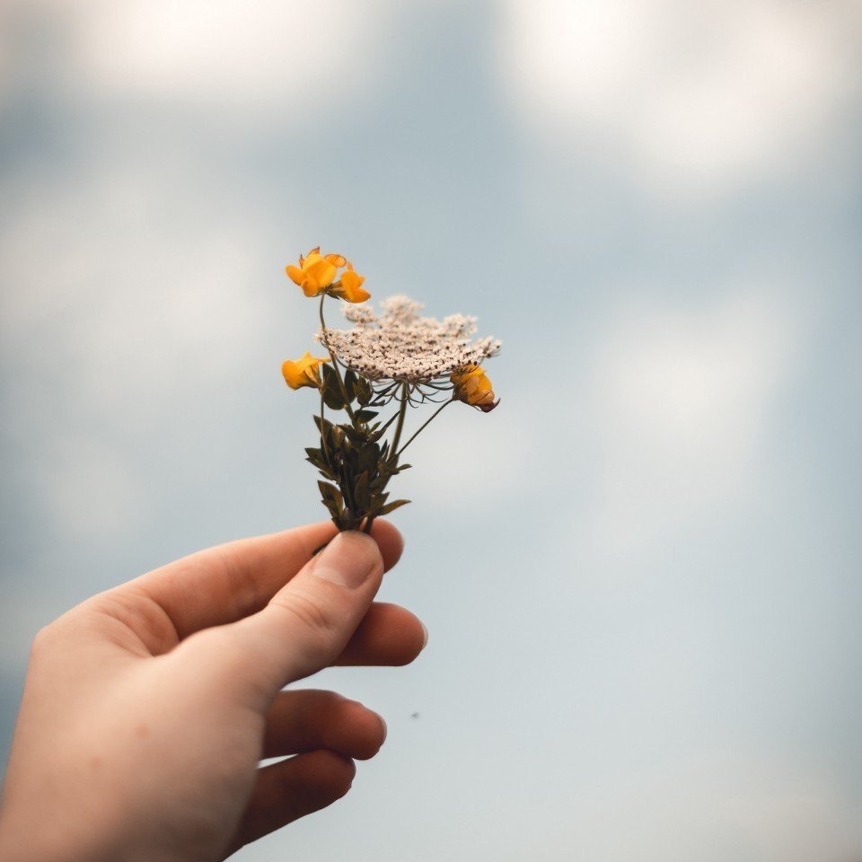 Мила Маргулис картины