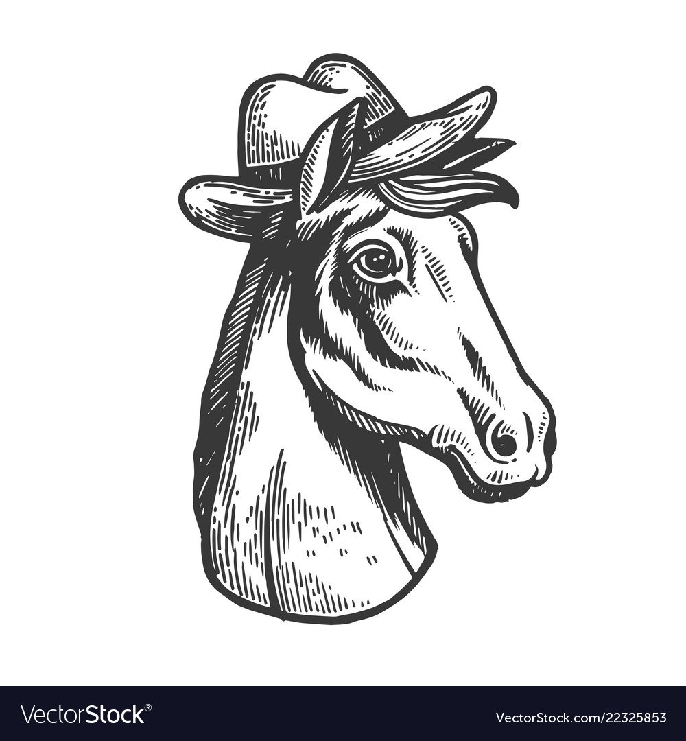 Корова в шляпе рисунок