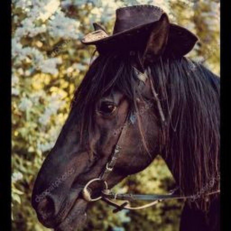 Конь в пальто и шляпе