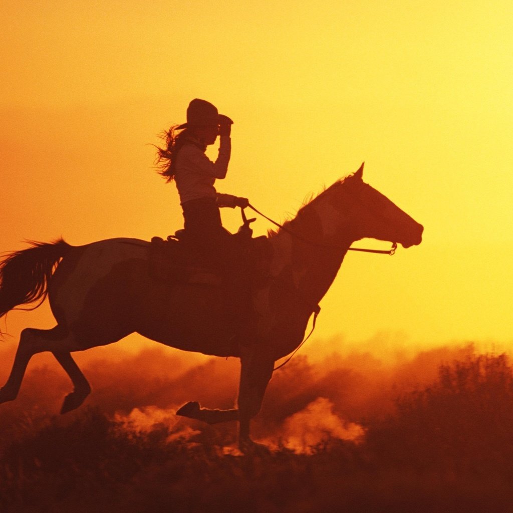 Скакун шляпа