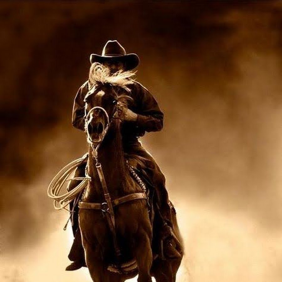 Девушка на коне