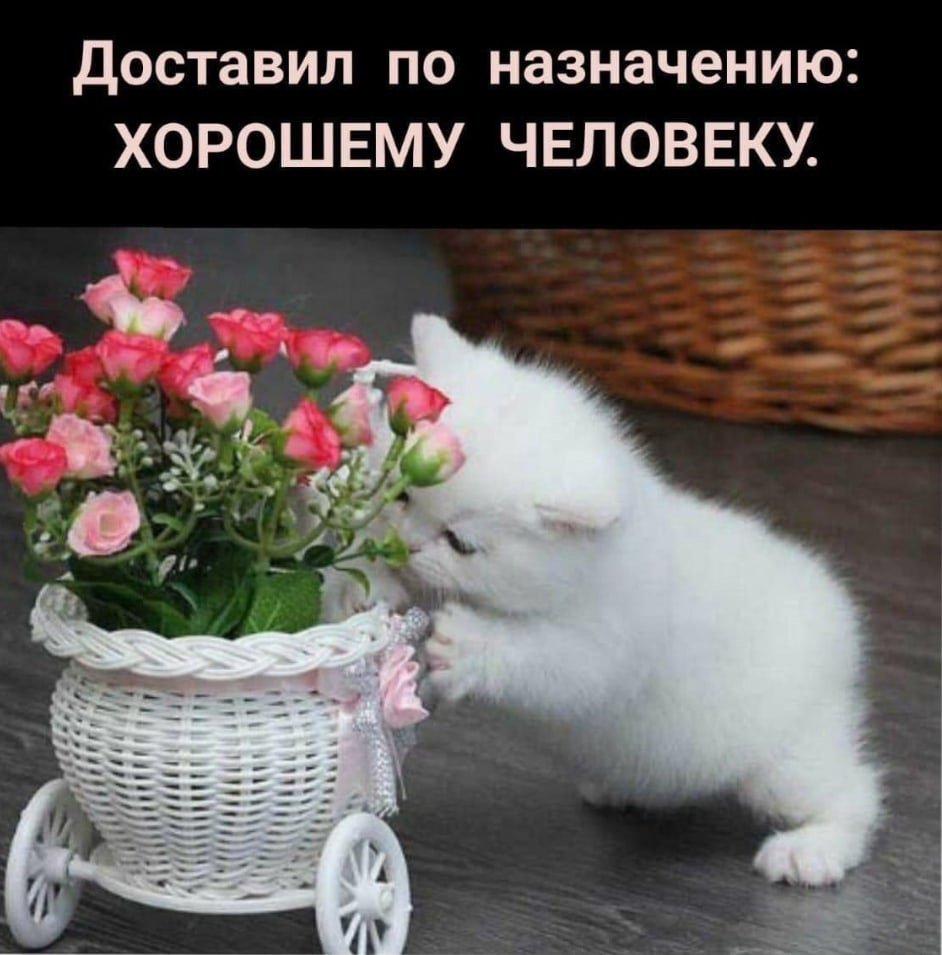 Доброеиутпо зорошему человеку