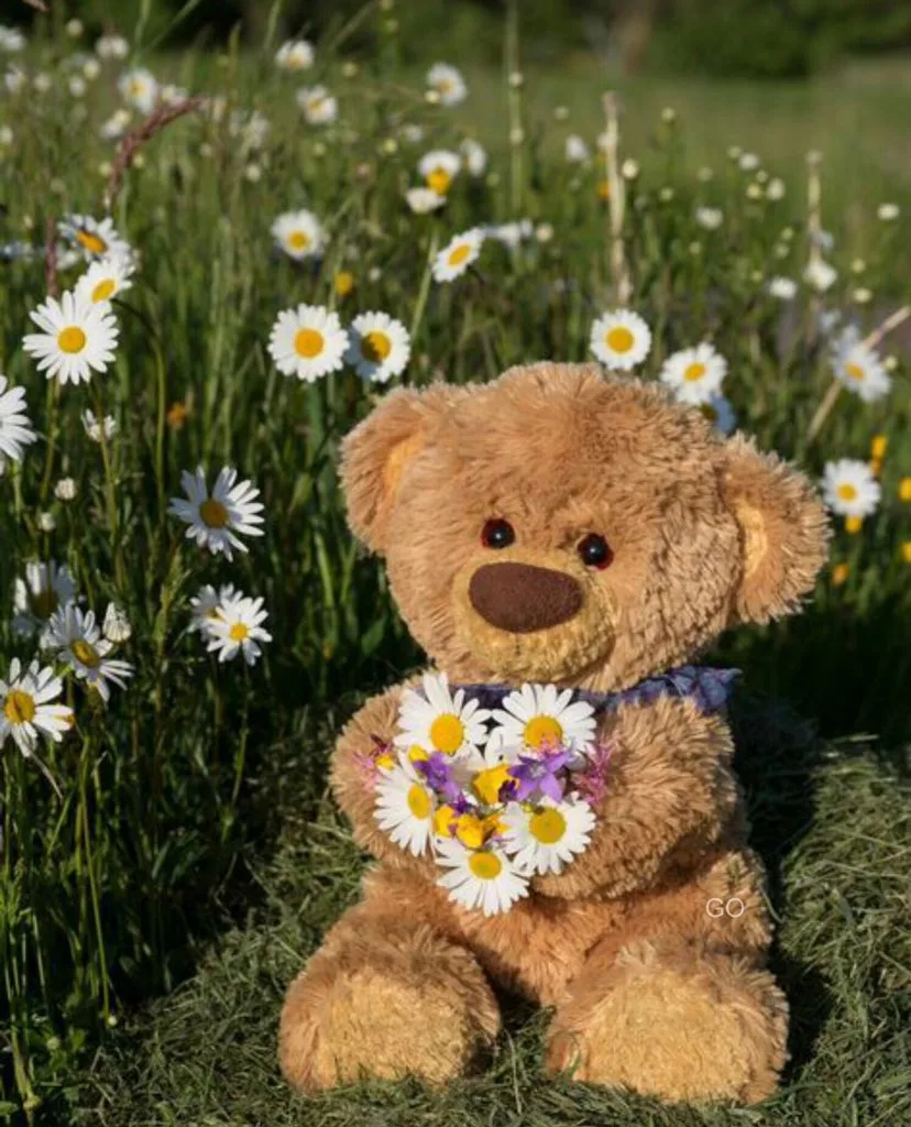 Мишка с ромашками