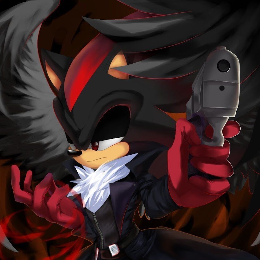 Ёж Шедоу и Соник