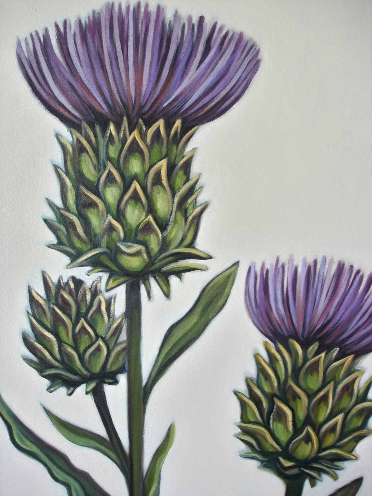 Расторопша картинки