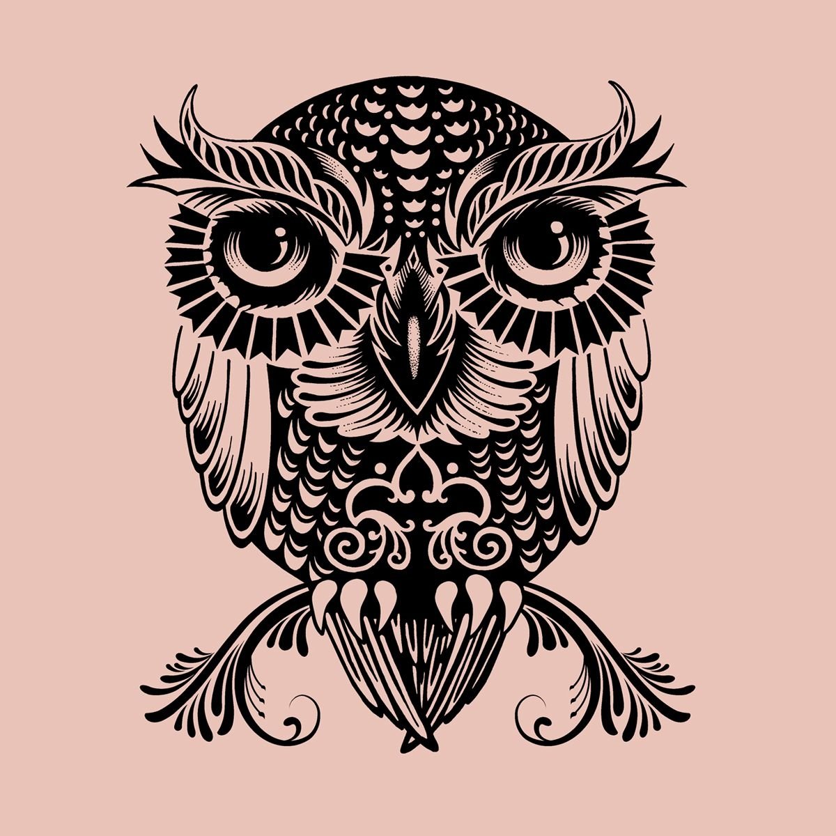 Графическая Сова