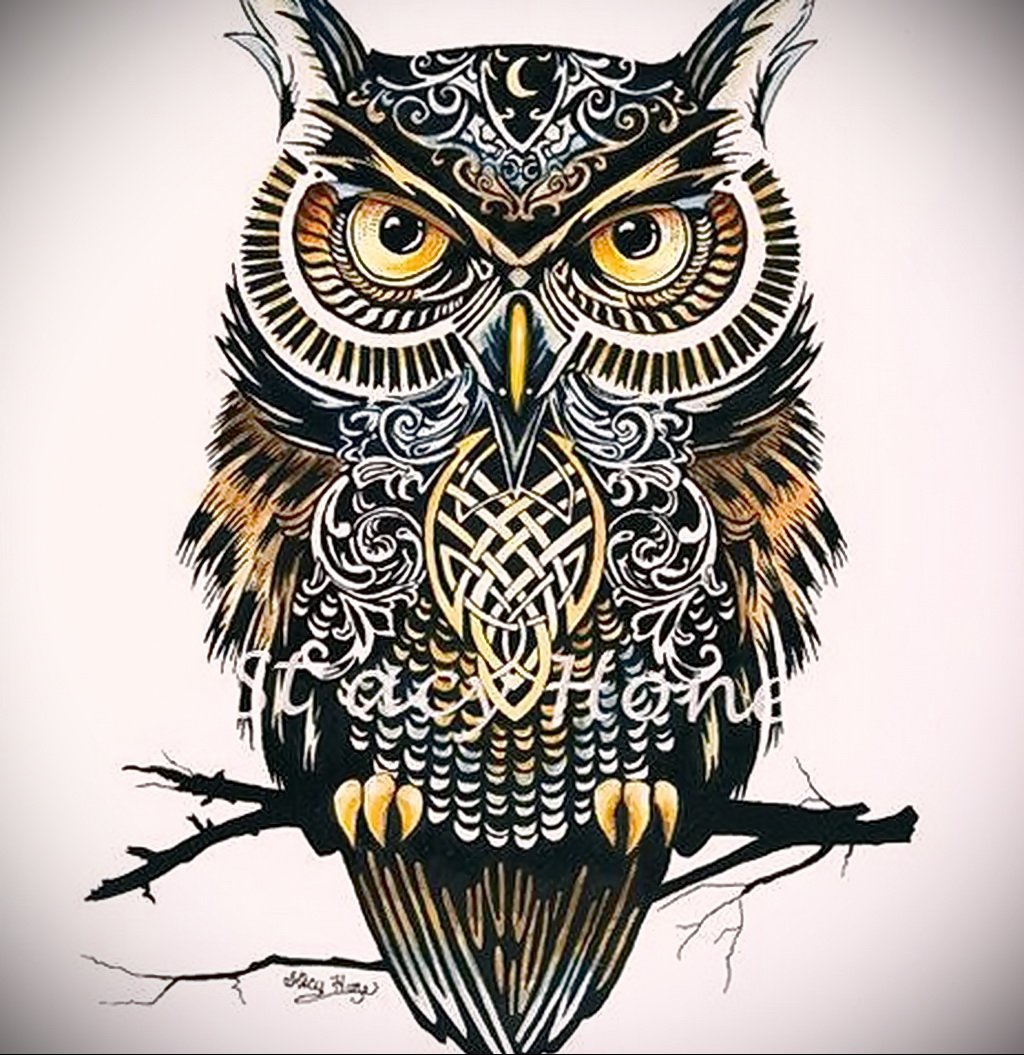 Совы в стиле арт