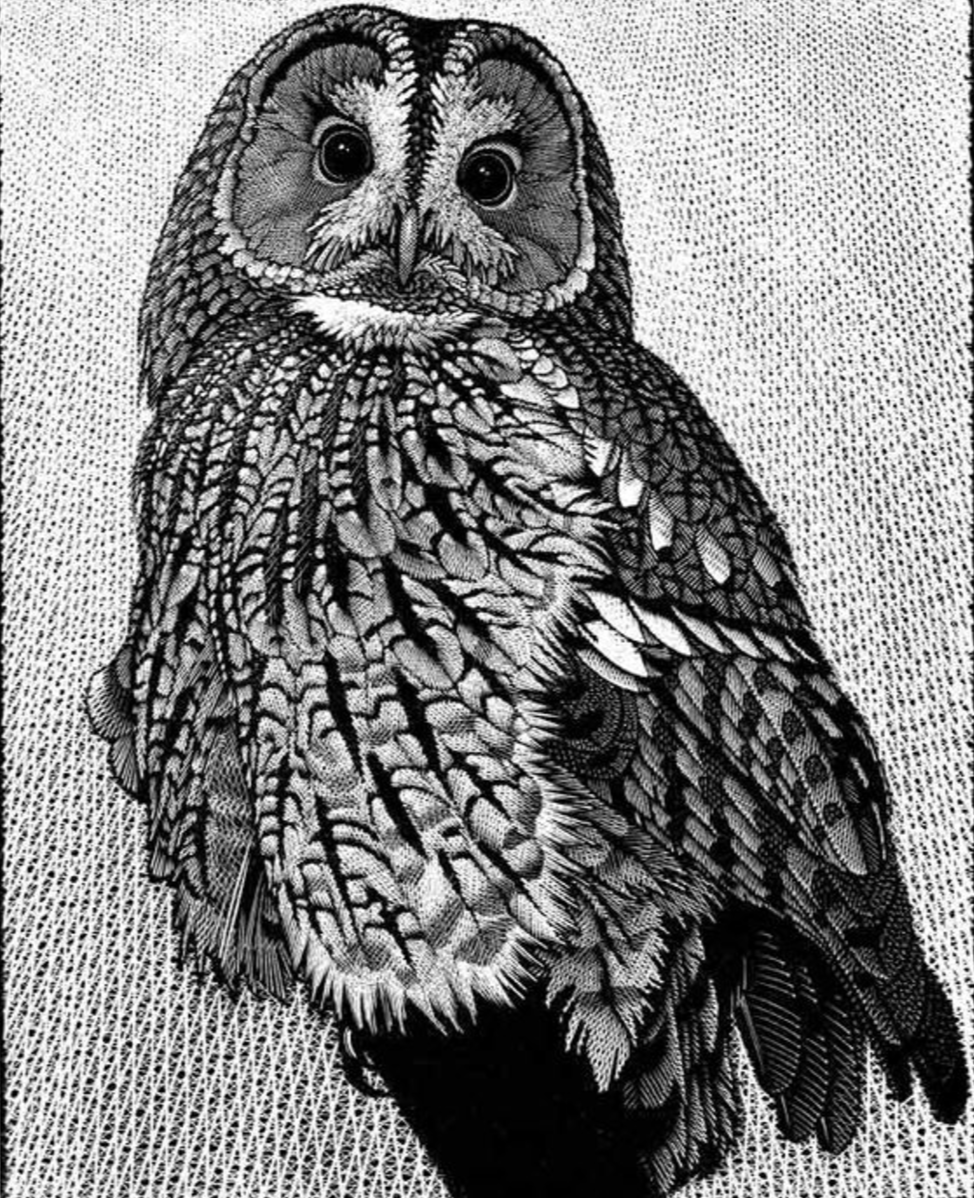 Художник график Colin see Paynton