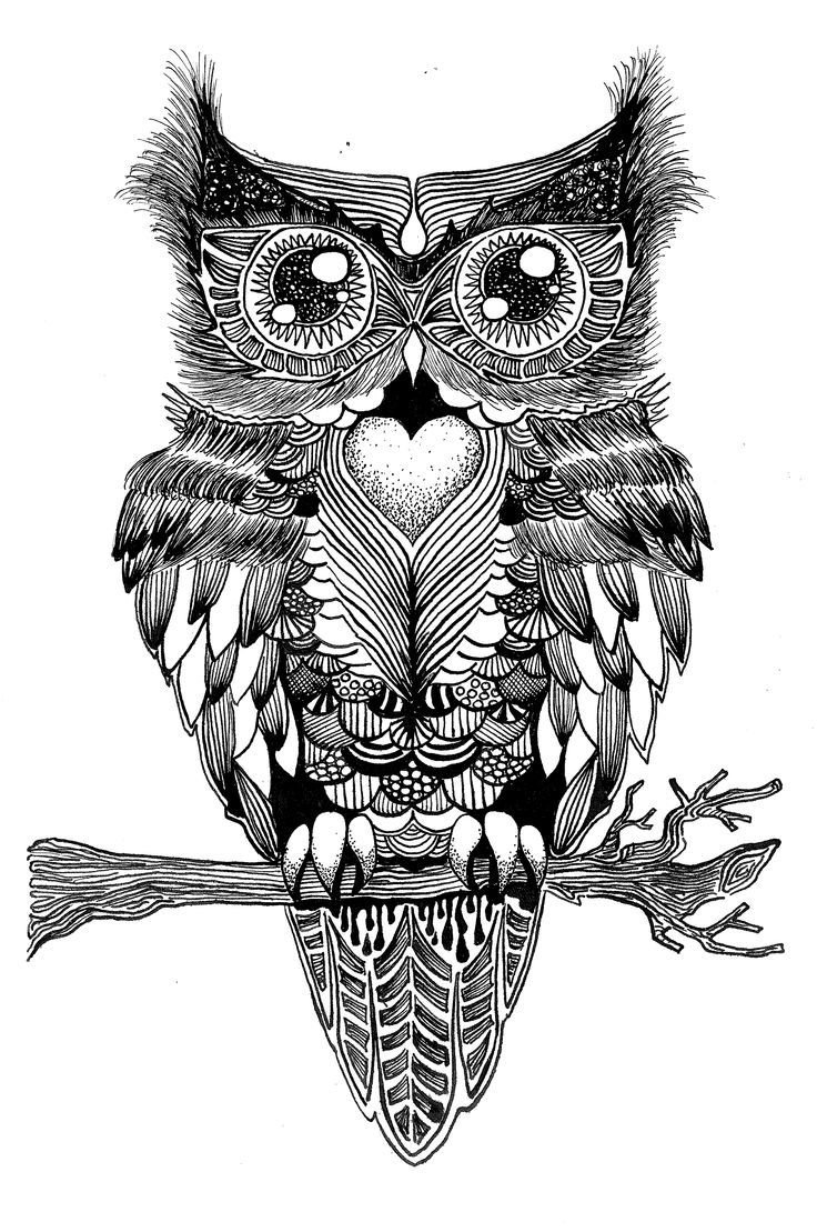 Сова рисунок