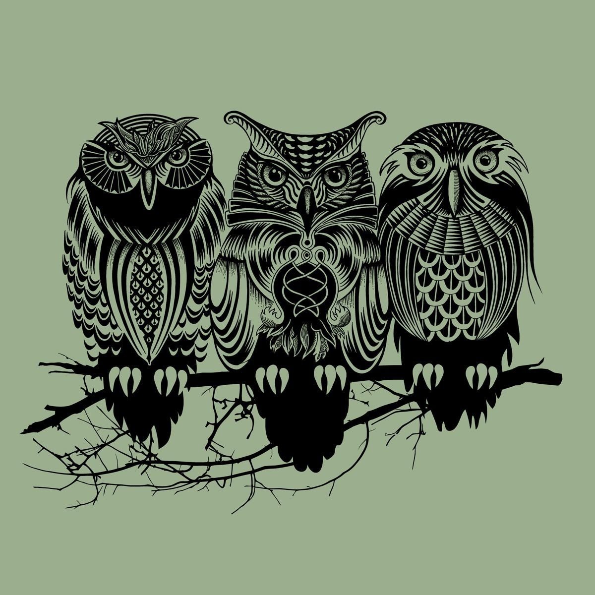 Тату эскиз Сова блэкворк