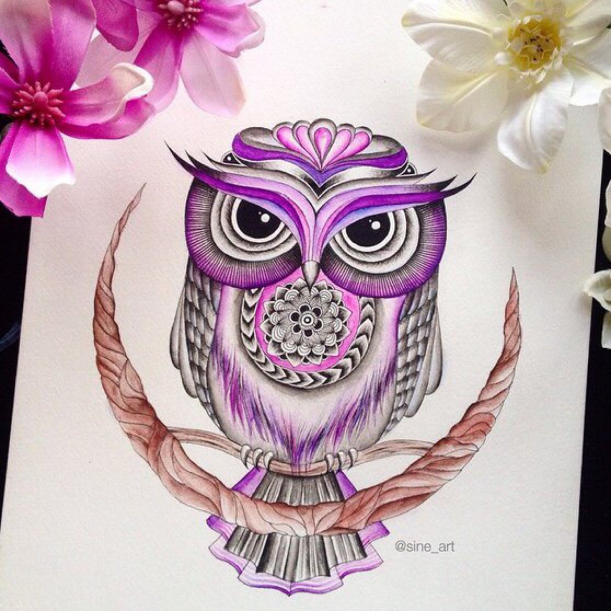 Сова карандашом в цвете