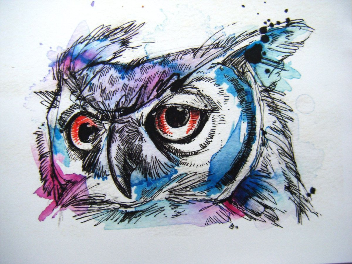Голова Совы акварель