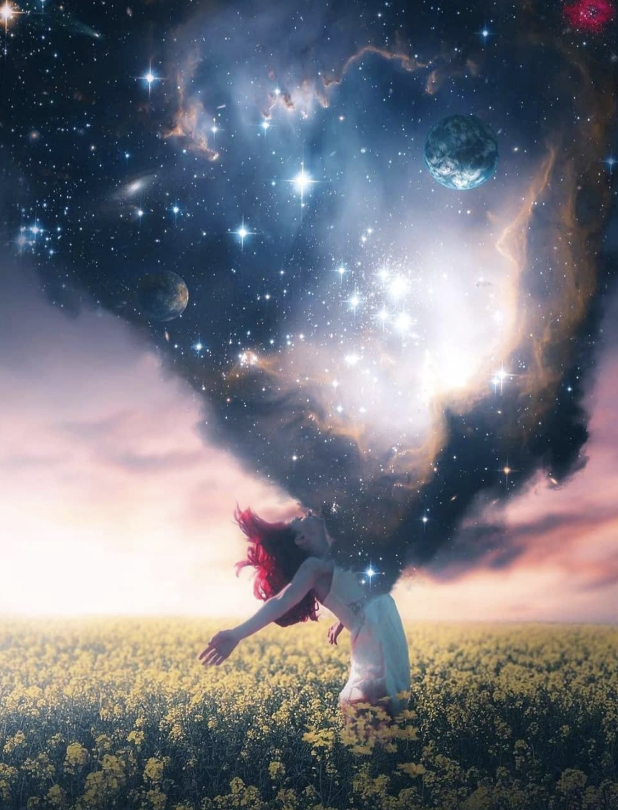 Новая жизнь арт