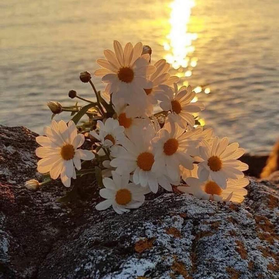 Впереди только самое лучшее