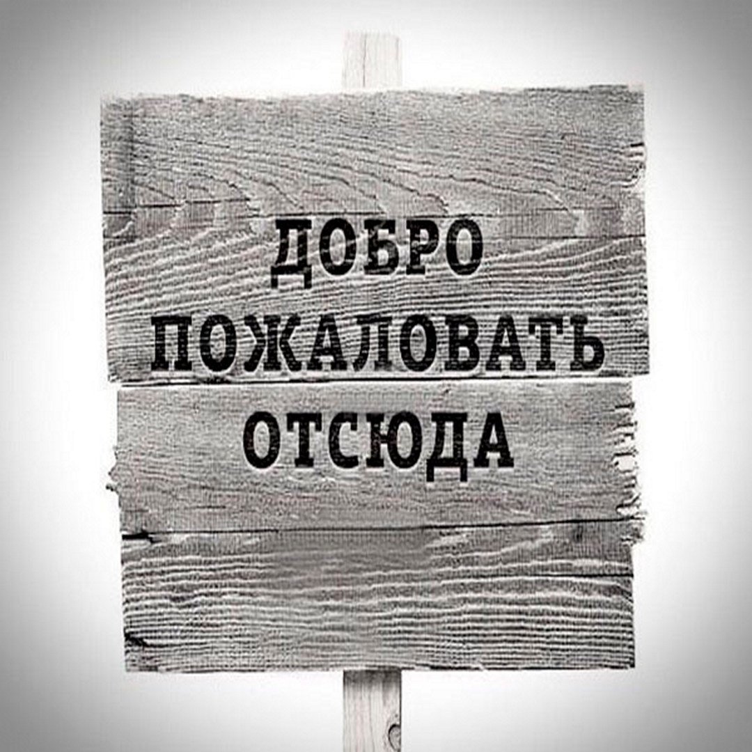 Добро пожаловать отсюда кот