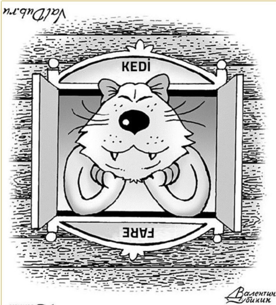 Картинки перевертыши прикольные