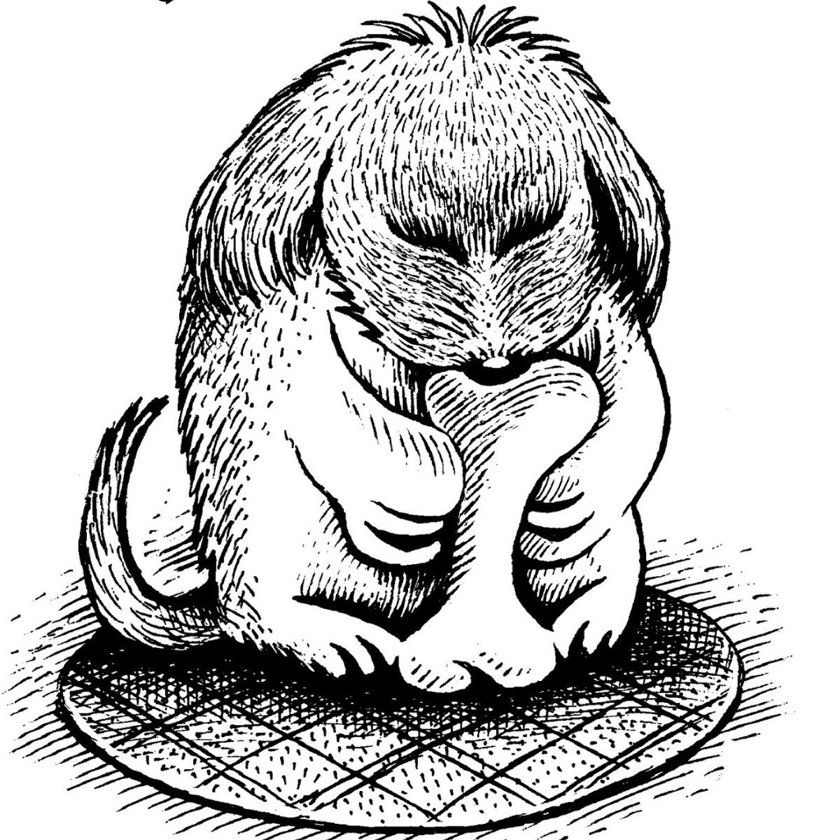 Обман зрения перевертыши