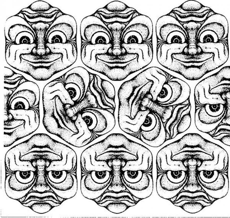 Оптические иллюзии лошадь лягушка