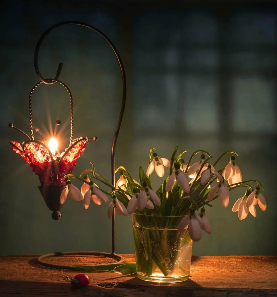 Уютного весеннего вечера