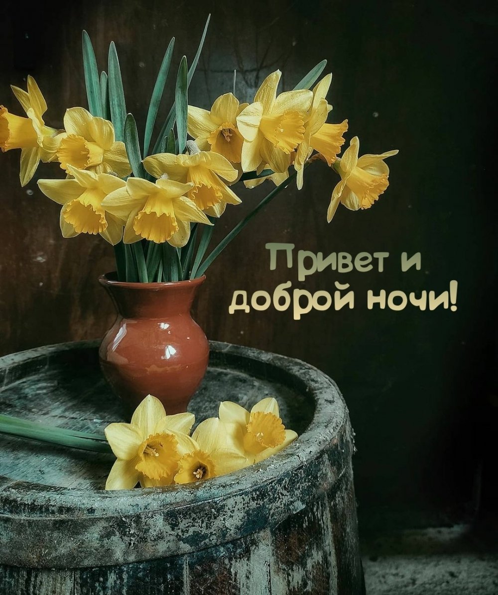 Спокойной ночи мышонок