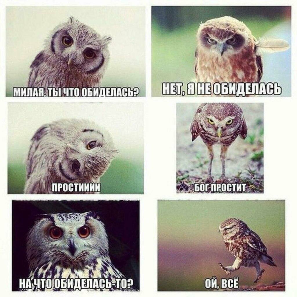 Прошу прощения в прощенное воскресенье