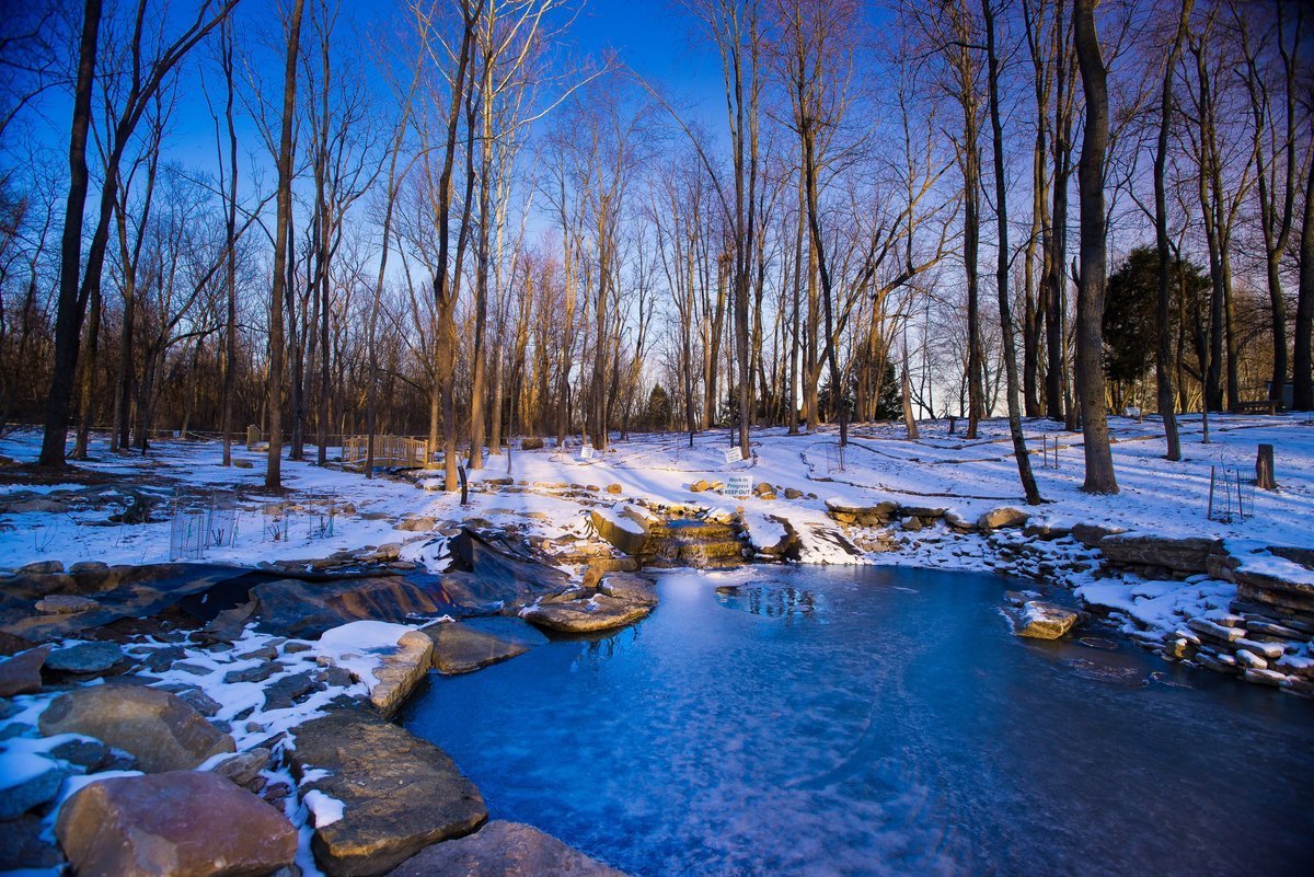 Март природа