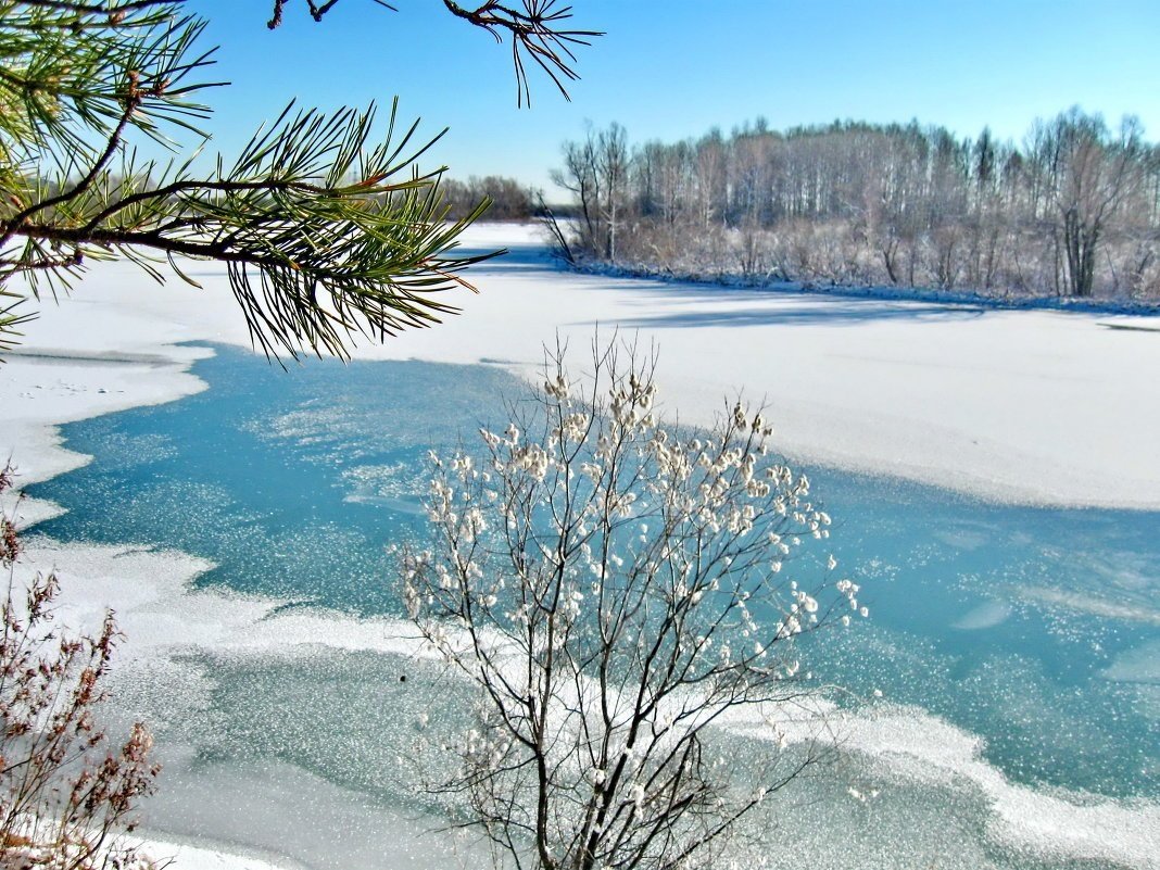 Весна тает снег