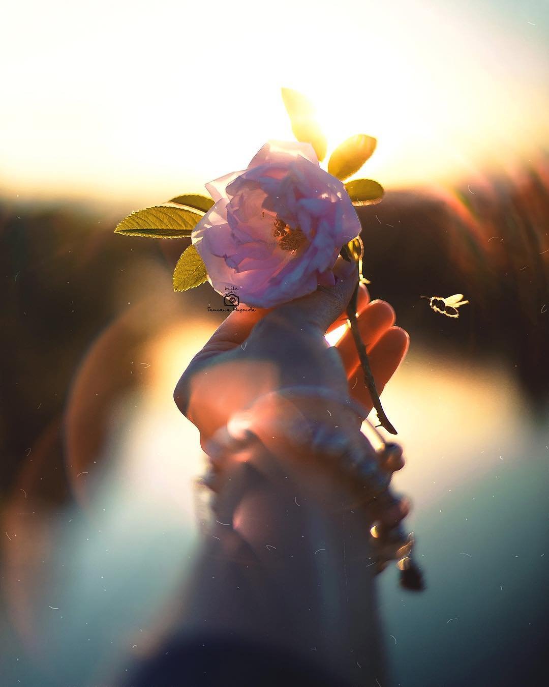 Цветы для души