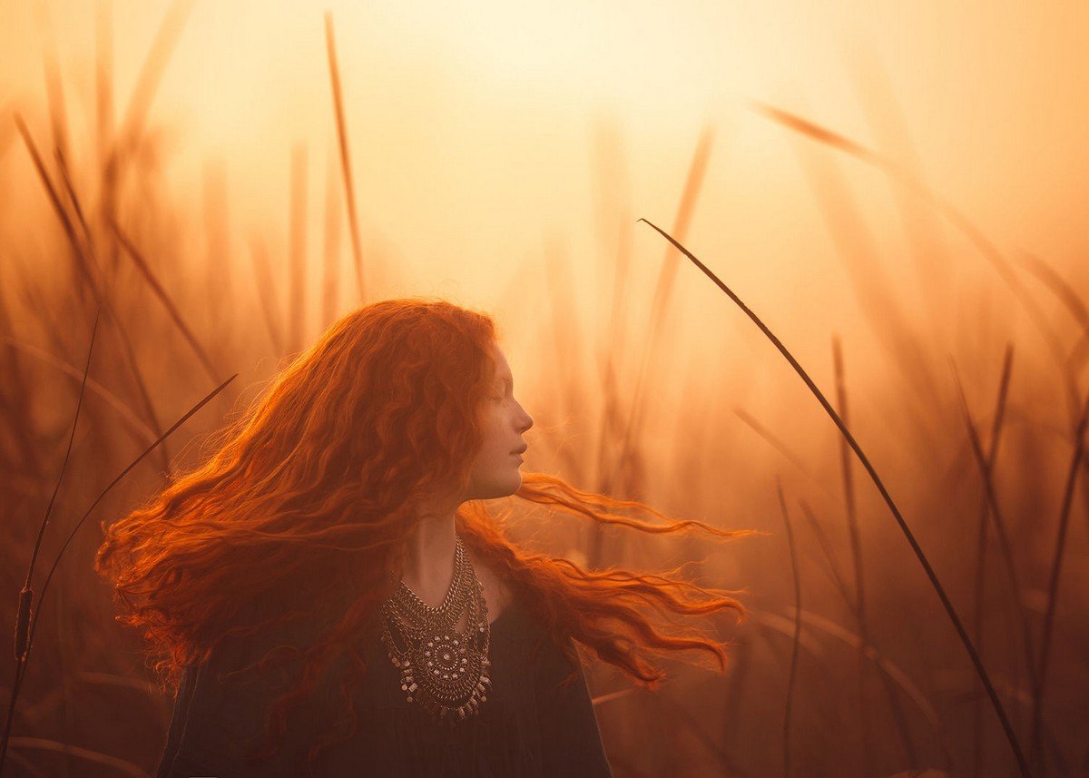 Лиза Холлоуэй