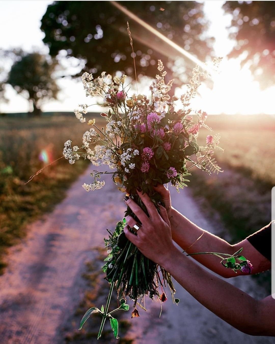 Красивые душевные картинки