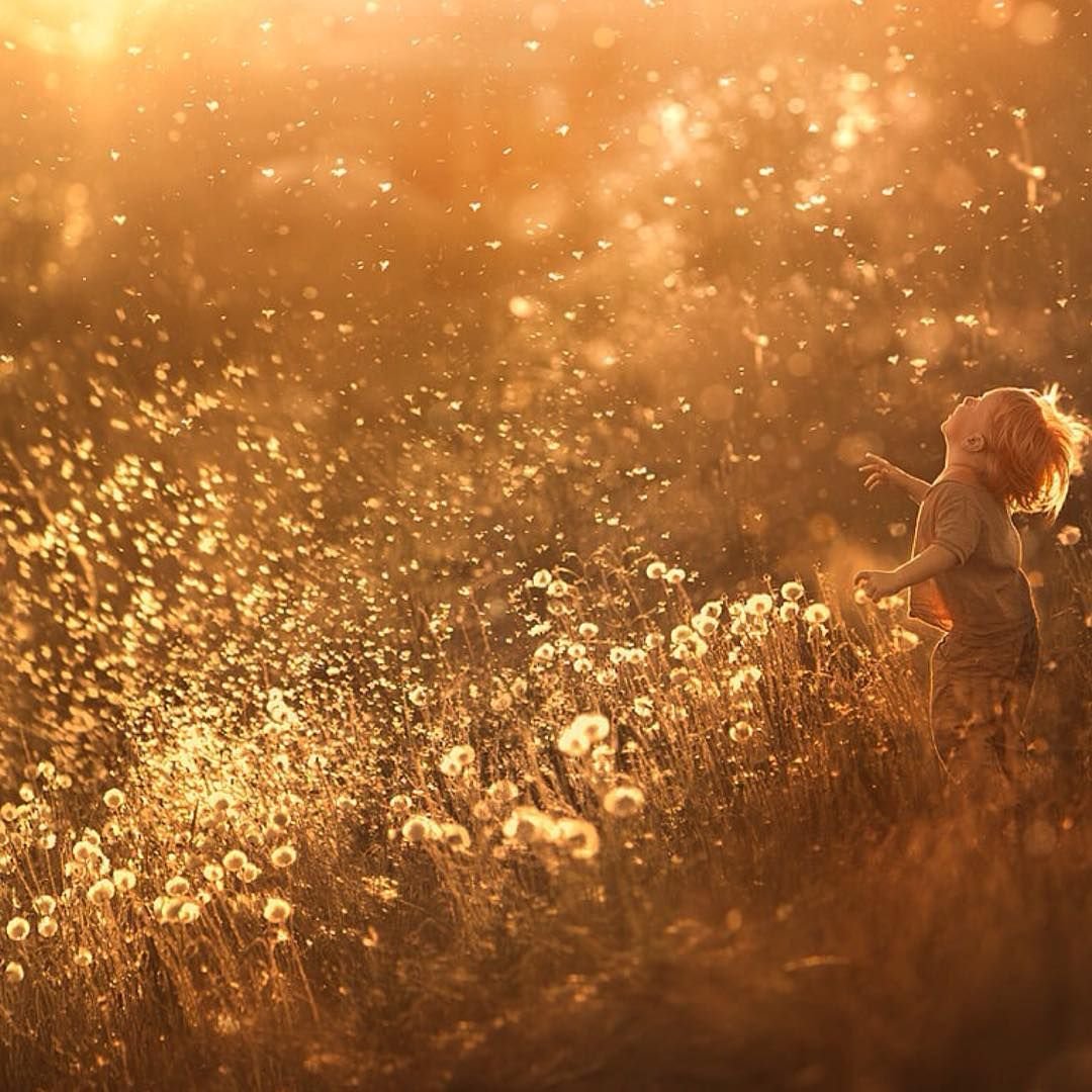 Елена Шумилова фотограф