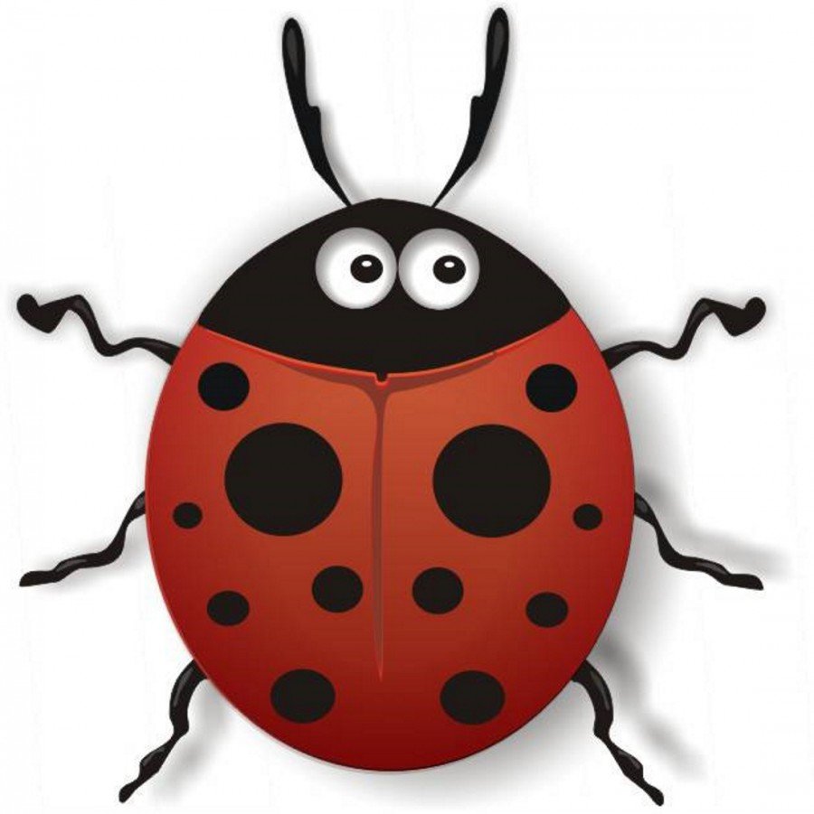 Ladybug Божья коровка