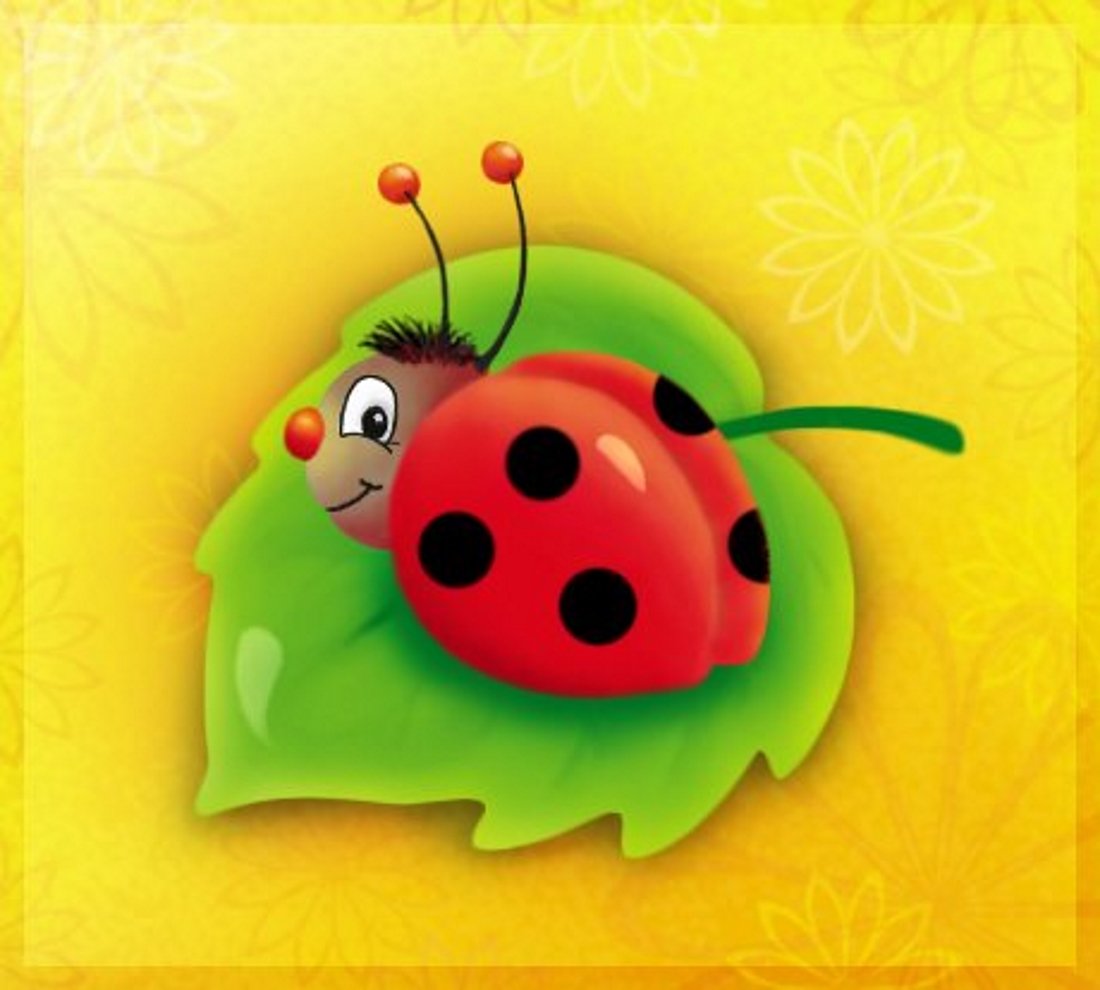 Божьи коровки