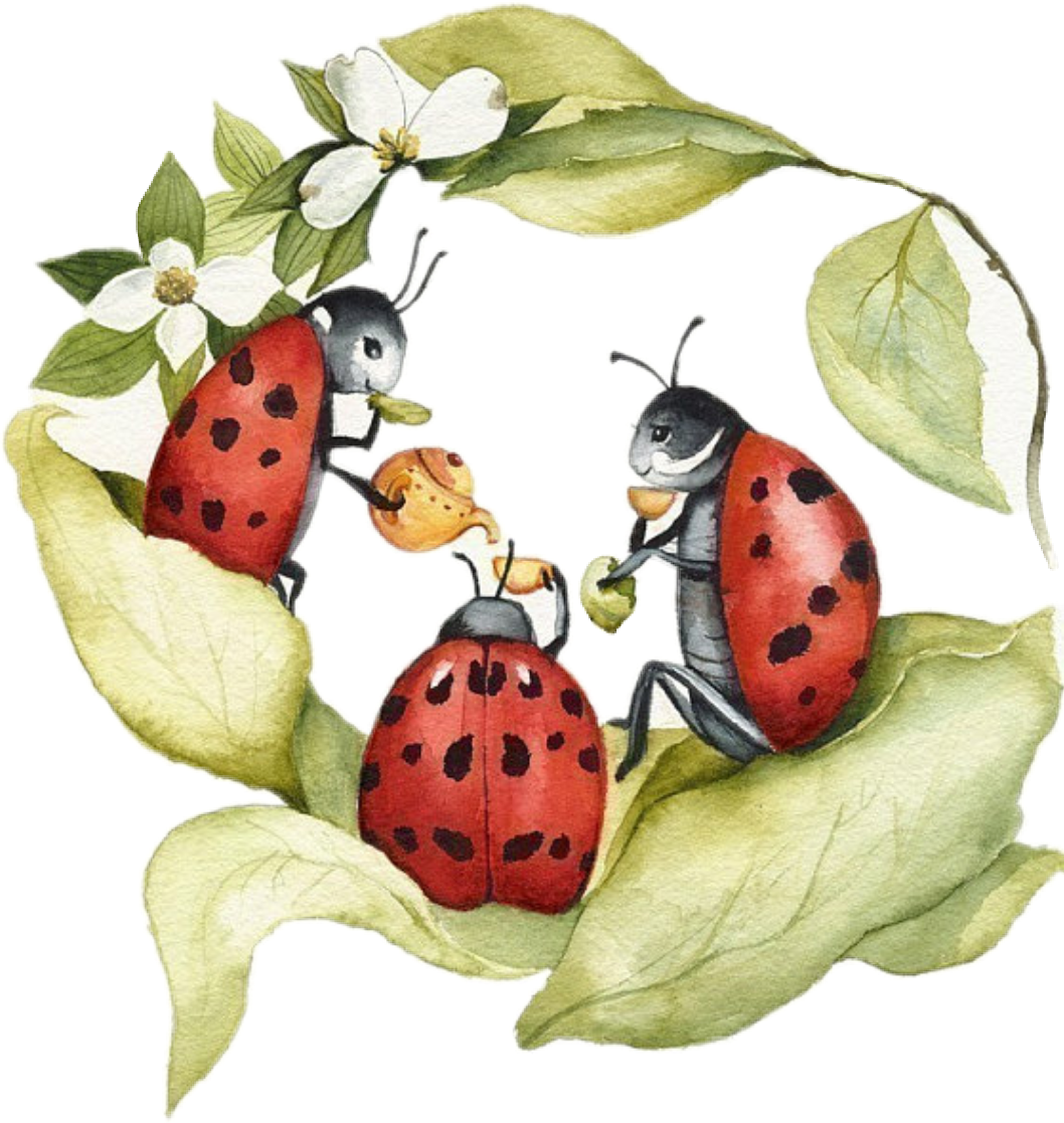 Божьи коровки