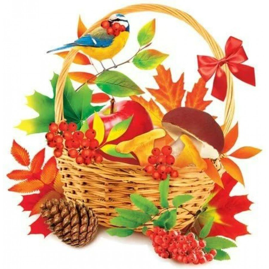 Красавица осень