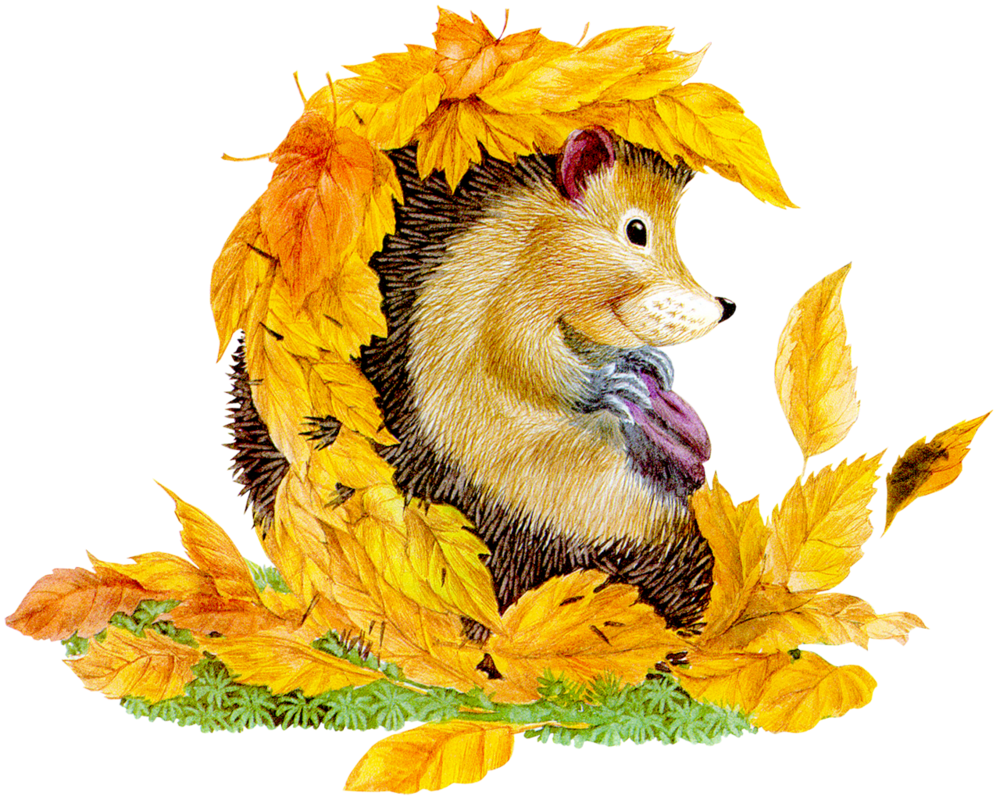 Осень для детей