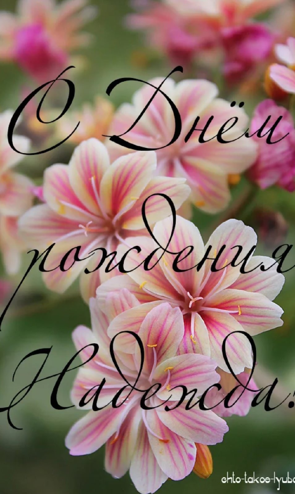 Поздравления с днём рождения Оксане прикольные