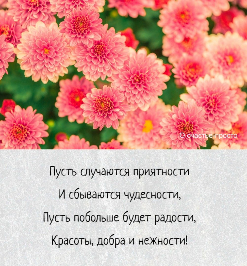 Прикольные поздравления с днем рождения