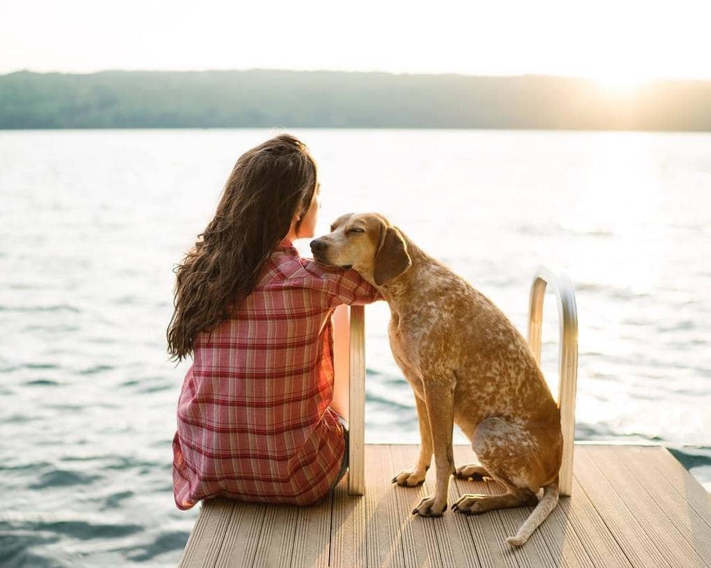 Бордер колли с хозяином