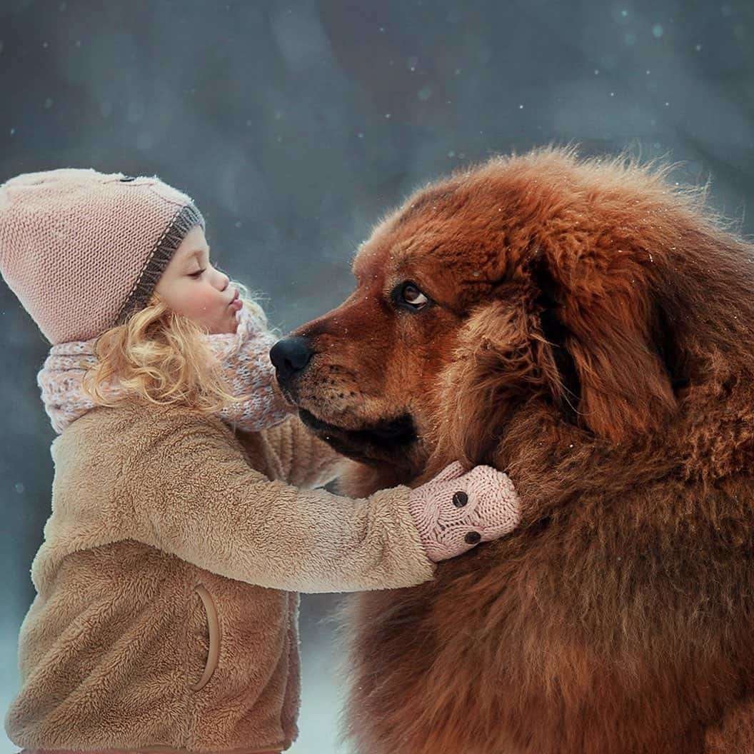 Собака друг человека