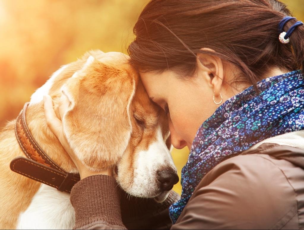 Маленькие дети и животные