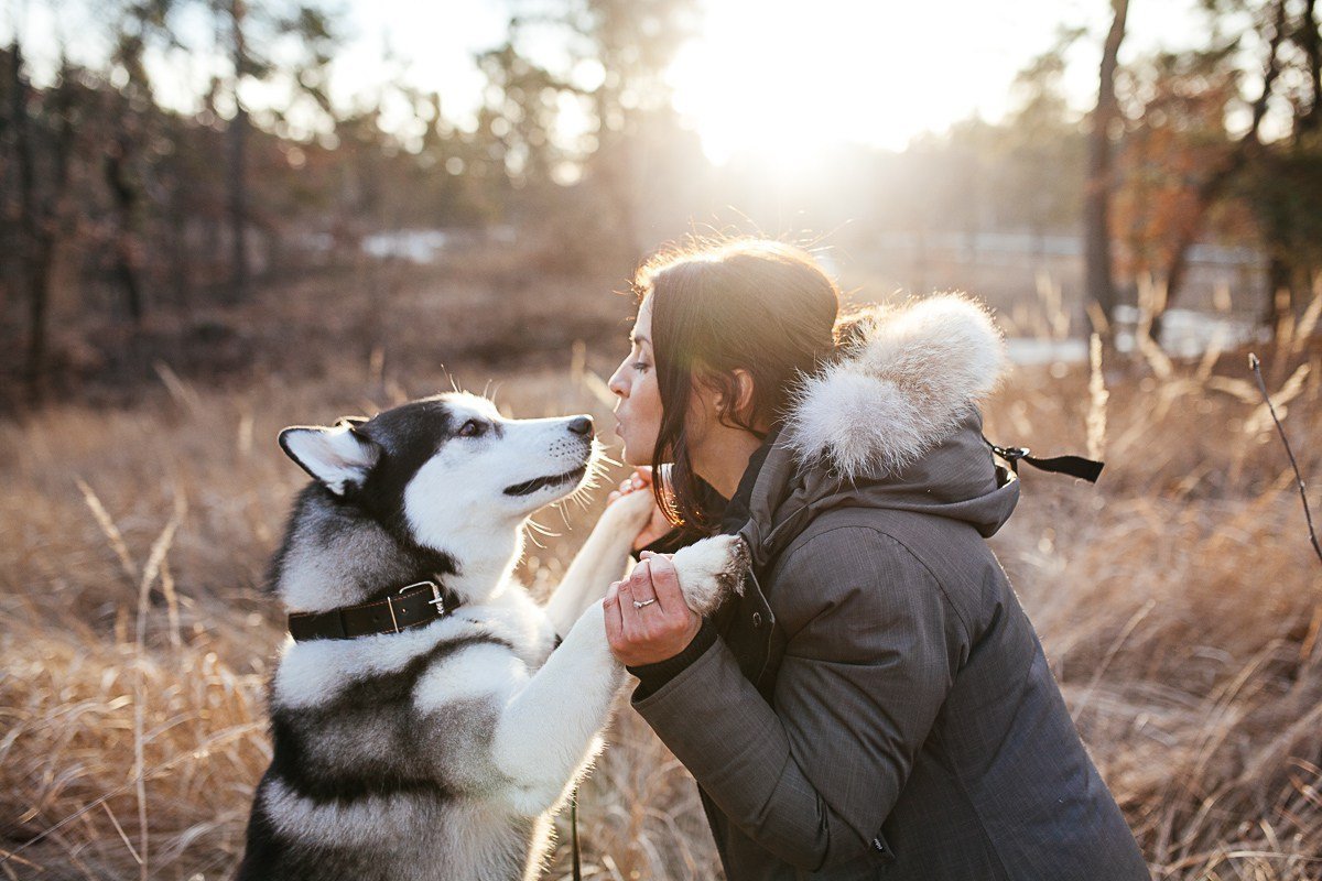 Собака друг человека