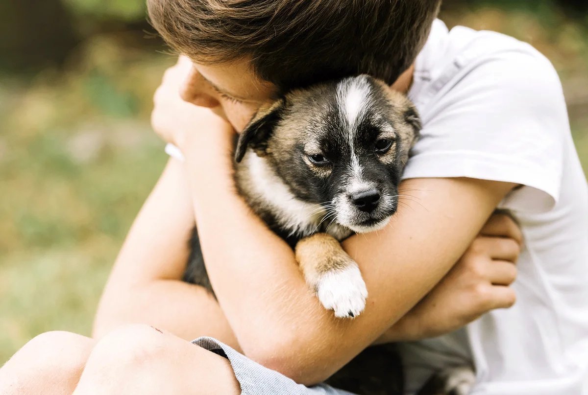 Собака друг человека картинки