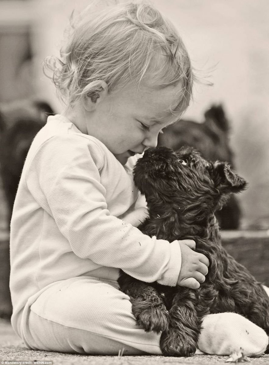 Любовь к животным