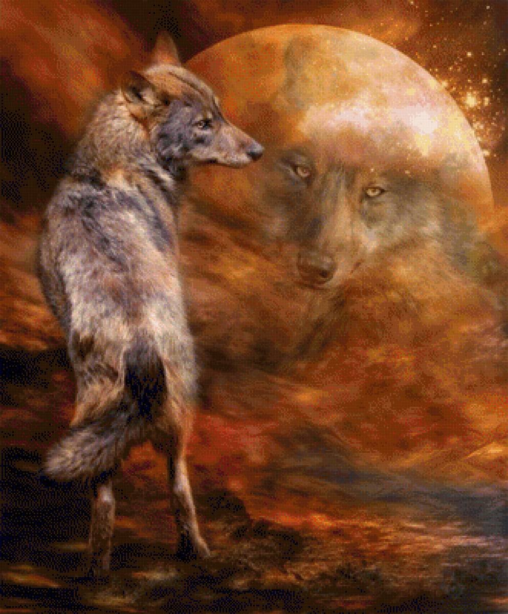 Кэрол Каваларис волки