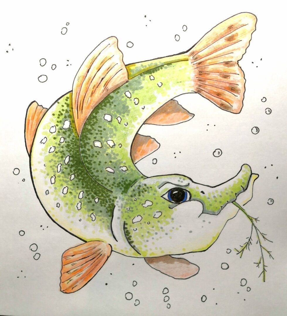 Волшебная рыба