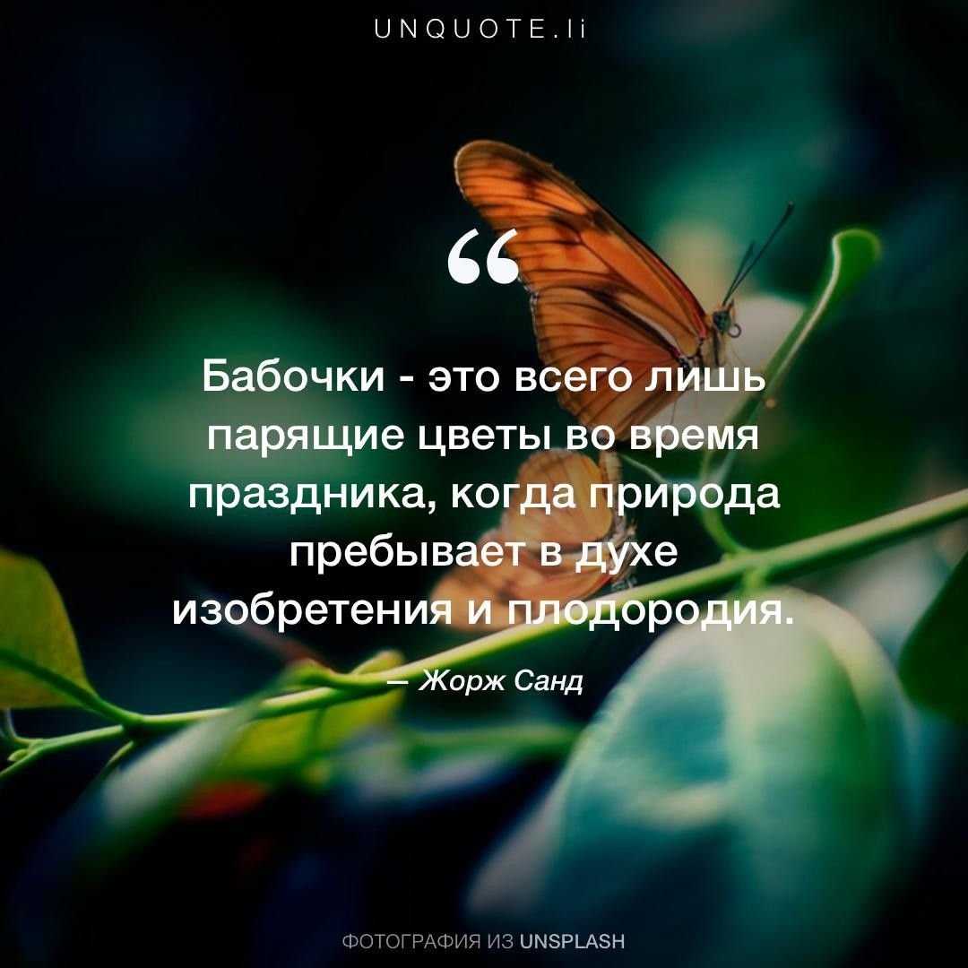 Афоризмы про бабочек