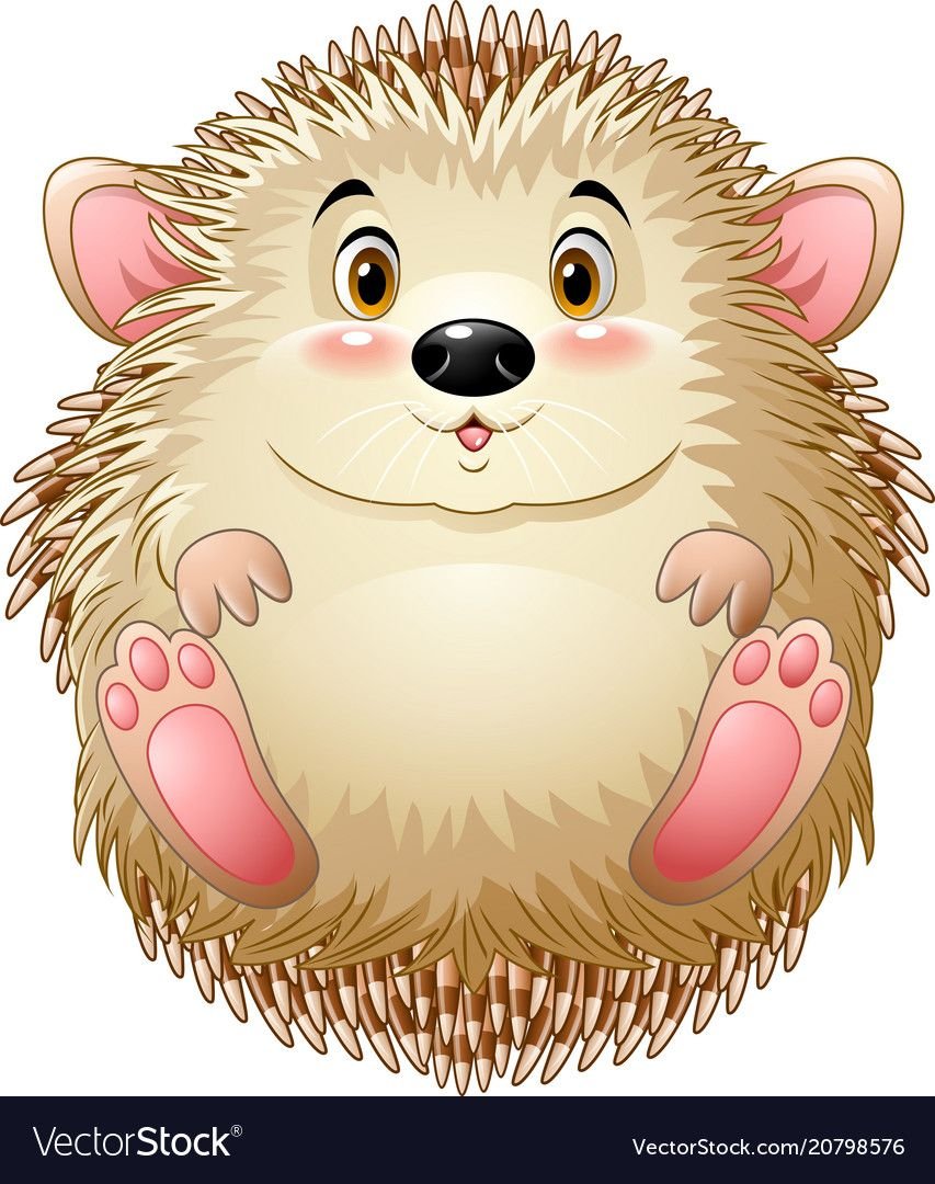 Ежик без фона