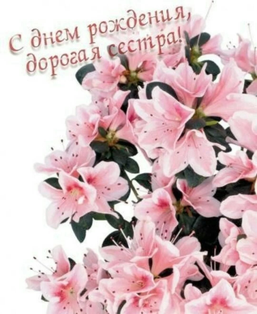 С днём рождения Эстетика поздравление