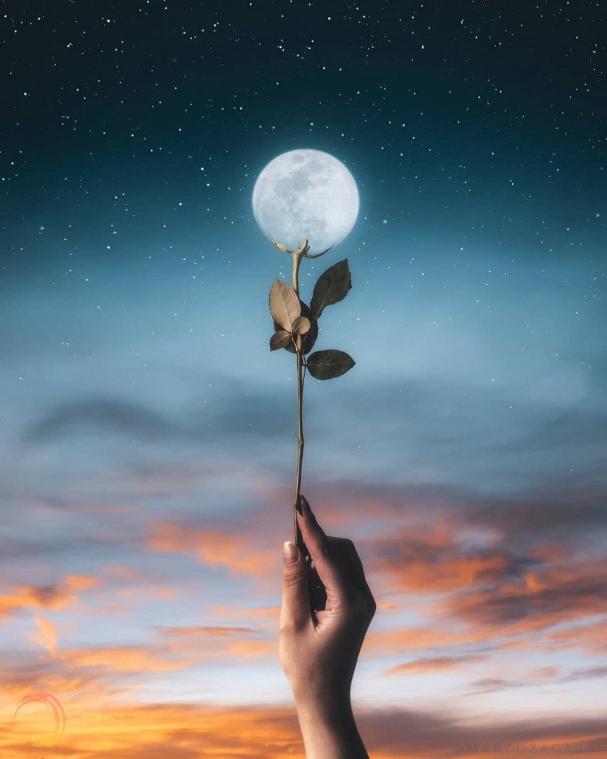 Луна Эстетика